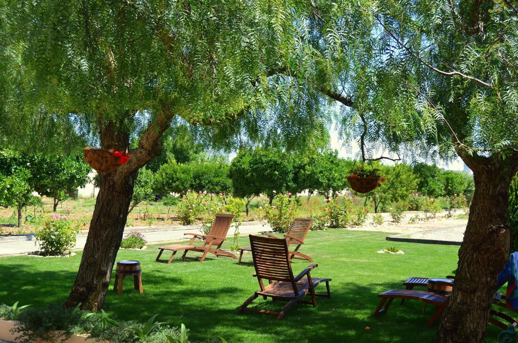 Quinta Do Covanco アレンケル エクステリア 写真